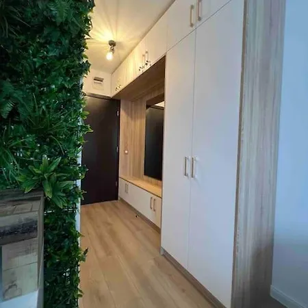 Cosy Life Apartment *